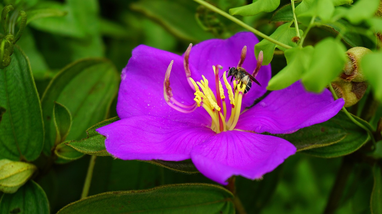 小規模事業者向けのSIM大手比較で選ぶべきポイントは？